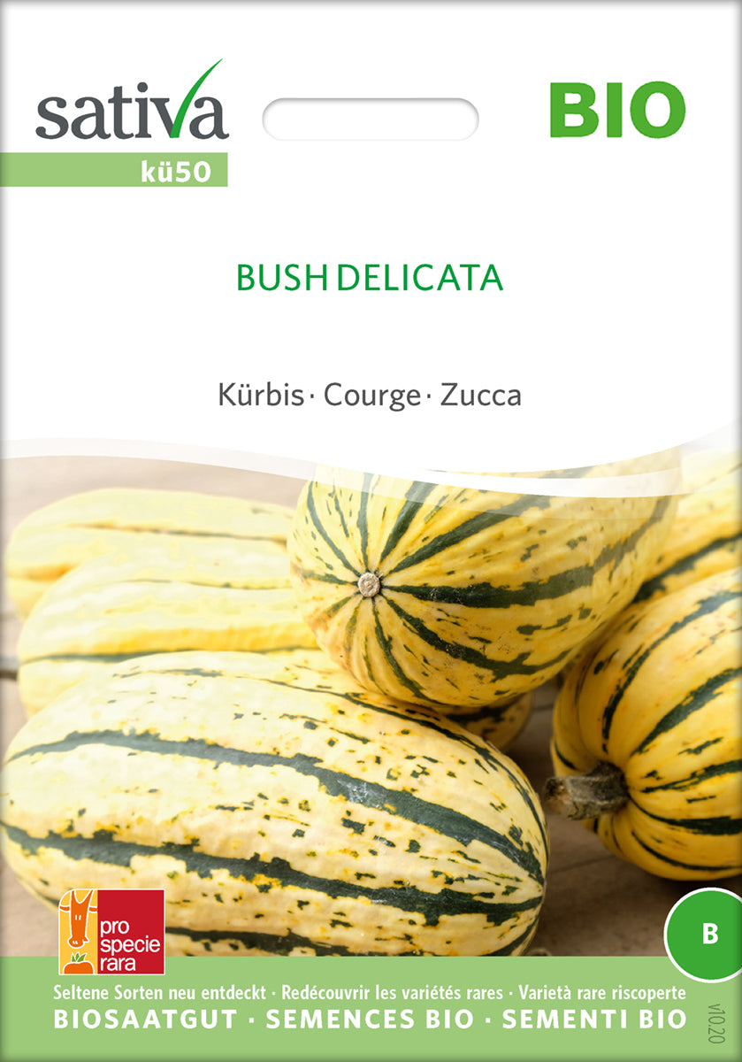 Græskar/Squash - Bush Delicata - ØKO