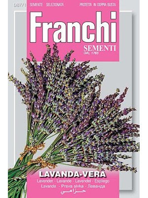 Lavendel - Lavanda Vera