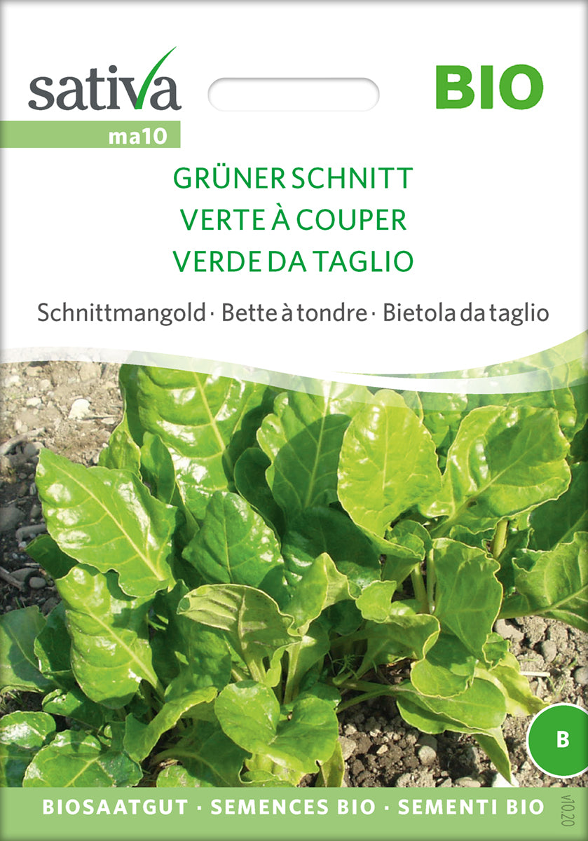 Bladbede - Schnittmangold -  Grüner Schnitt - ØKO