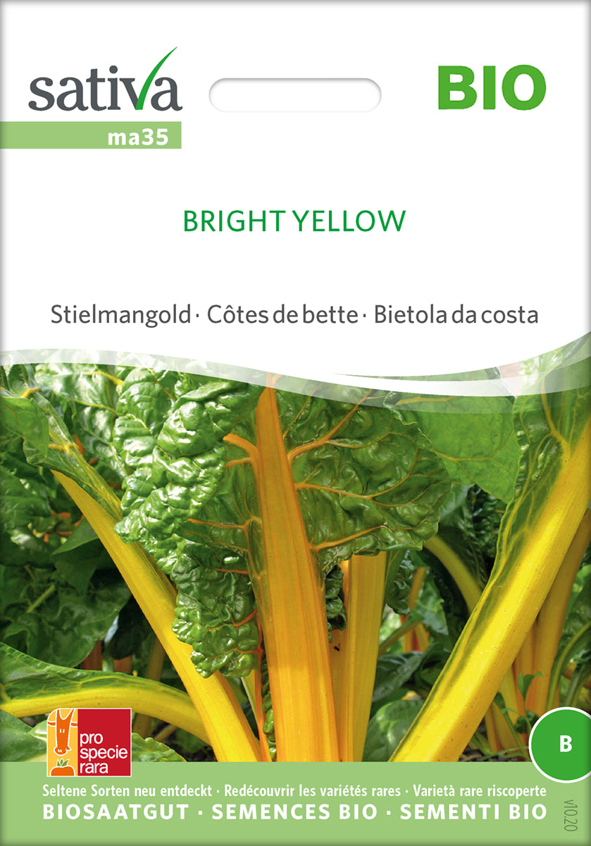 Bladbede - Bright Yellow - ØKO