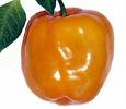 Manzano / Rocotto - Orange