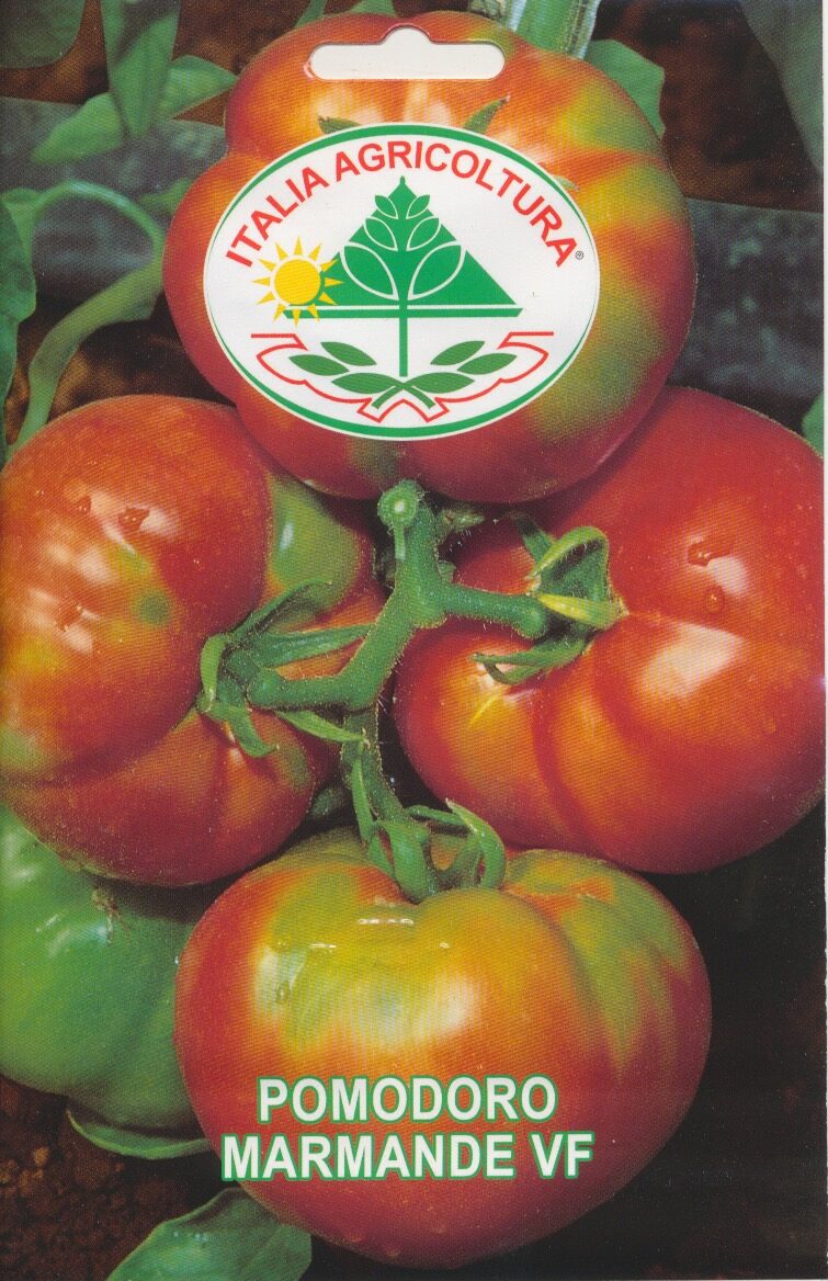 Tomat - Marmande VF - Italia
