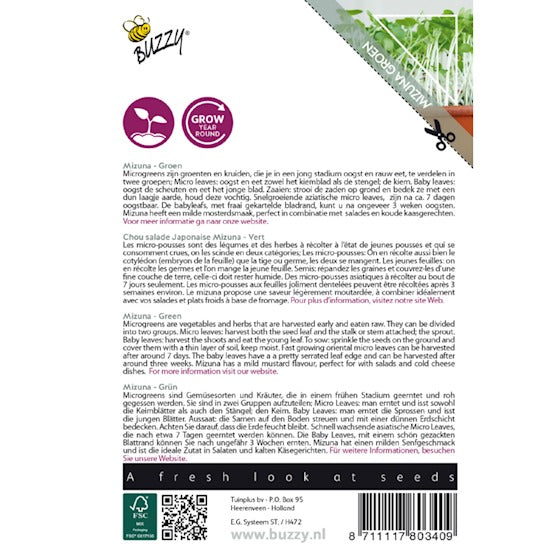 Micro Greens - Mizuna Green