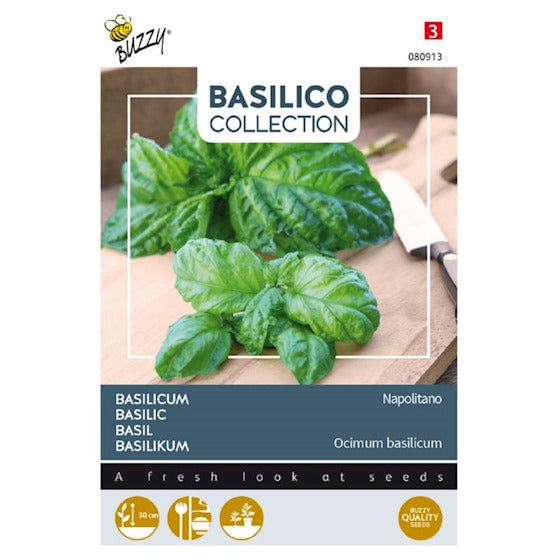 Basilikum - Napolitano