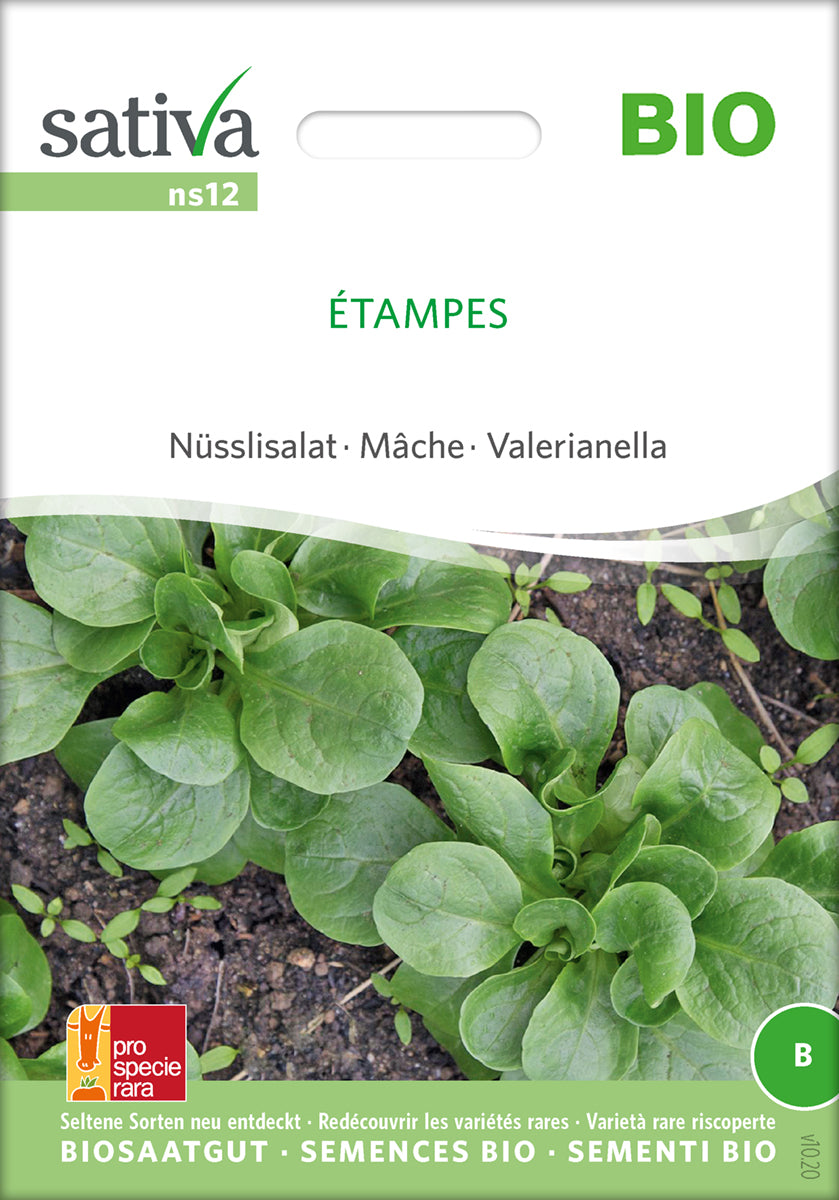 Feldsalat - Etampes - ØKO