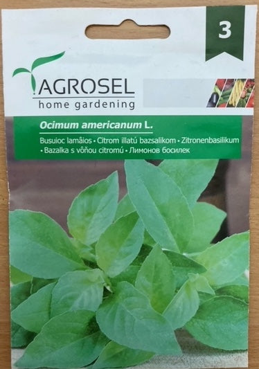 Basilikum - Lemon - Ocimum americanum l. - PG3