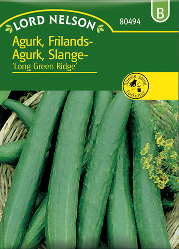 Agurk, Frilands-, Long Green Ridge
