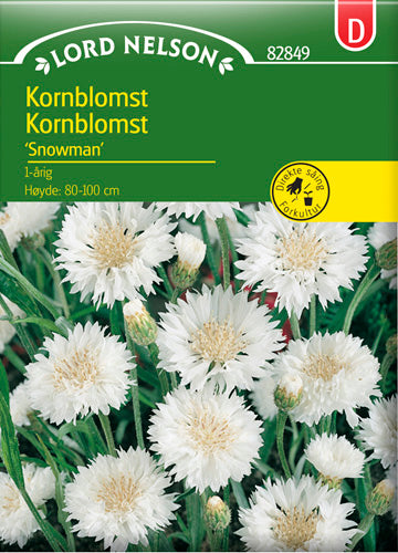 Kornblomst, Snowman, hvid