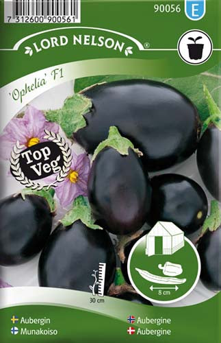 Aubergine, Ophelia F1