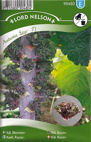 Kål, Rosen-, Autumn Star F1