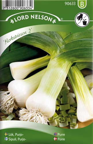 Porre, Herbstriesen 2, höst