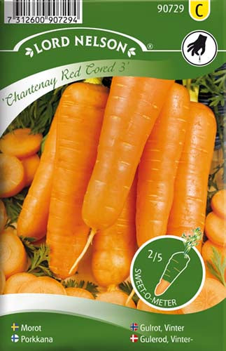 Gulerod, Vinter-, Chantenay Red cored