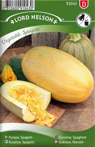 Græskar, Mandel-, Vegetable Spagetti