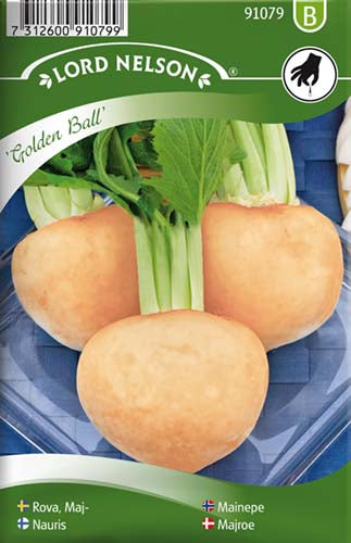 Majroe, Golden Ball