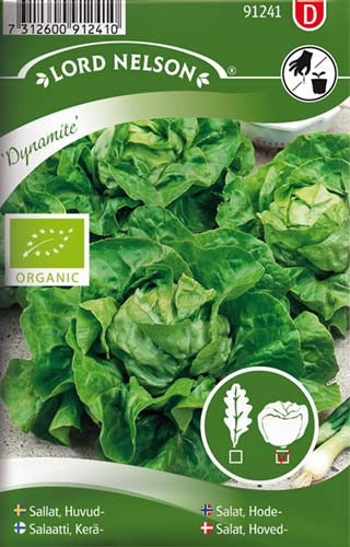 Salat, Hoved-, Dynamite, Organic