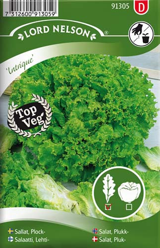 Salat, Pluk-, Intrigue
