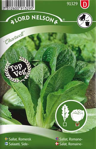Salat, Romaine-, Chartwell