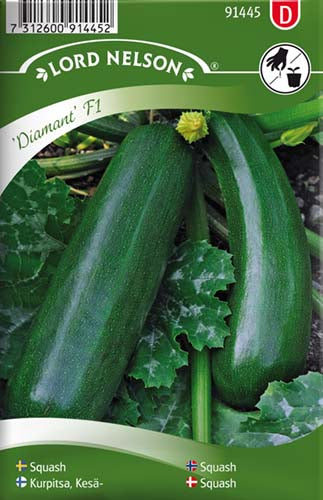 Squash, Diamant F1