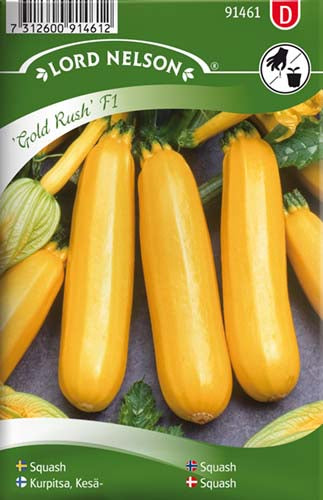 Squash, Gold Rush F1