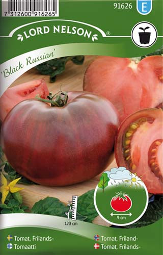 Tomat, Frilands-, Black Russian