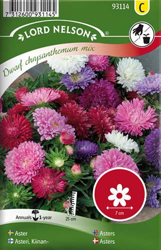 Asters, Sommer-, Dværg-, bl.farver