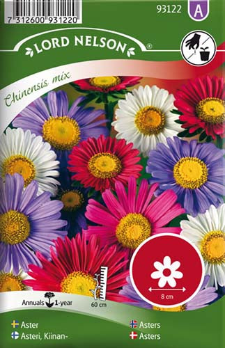Asters, Sommer-, enkelt, bl.farver