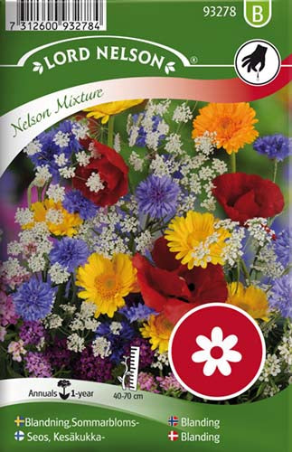 Blanding, Sommerblomster