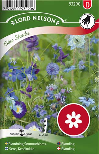 Blanding, Sommerblomster, blå