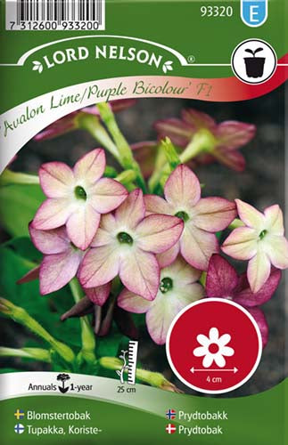 Prydtobak, Avalon Lime/Purple F1