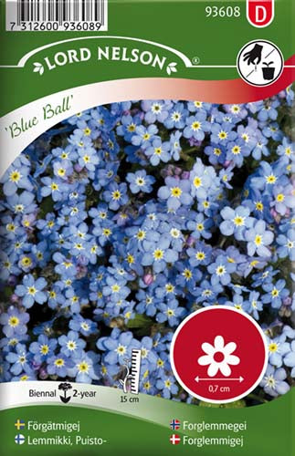 Forglemmigej, Skov-, Blue Ball, blå
