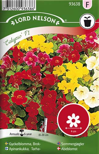 Abeblomst, Calypso F1, bl. farver