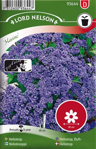 Heliotrop, Ægte, Marine, blå