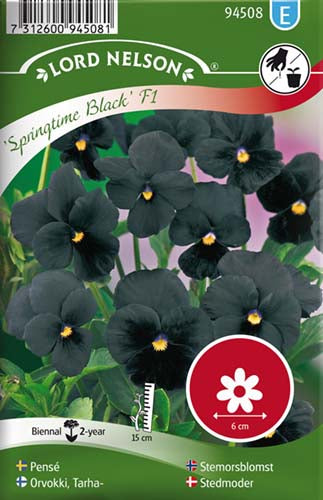 Stedmoder, Springtime Black F1