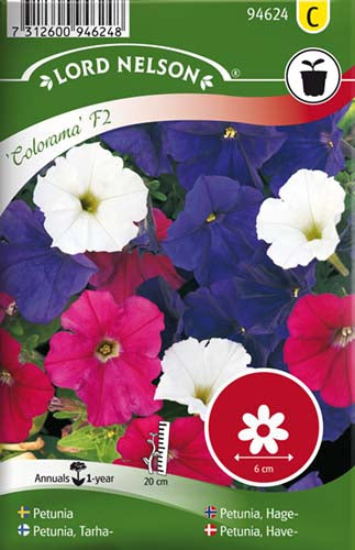Petunia, Have-, Colorama, bl. farver