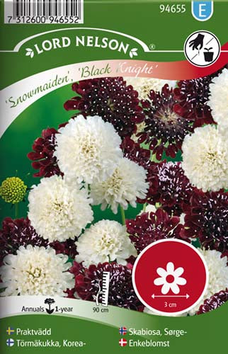 Enkeblomst, mix
