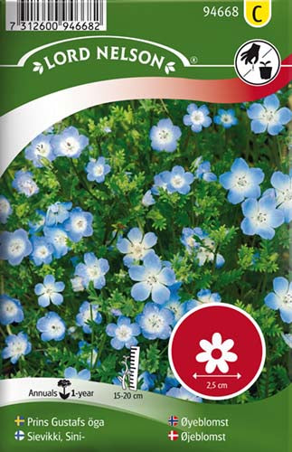 Øjeblomst, Blå