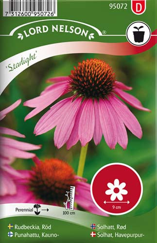 Solhat, Havepurpur-, Starlight, rød