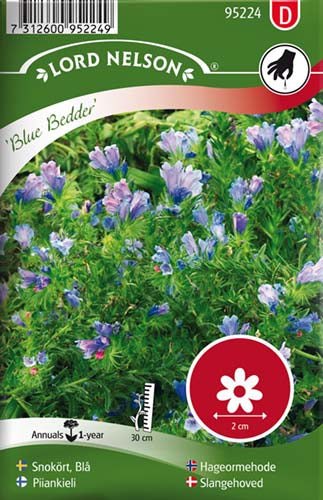 Slangehoved, Vejbred-, Blue Bedder, blå