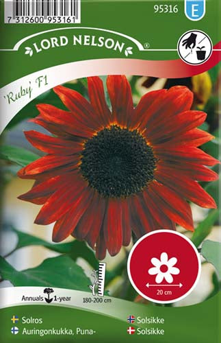 Solsikke, Ruby F1