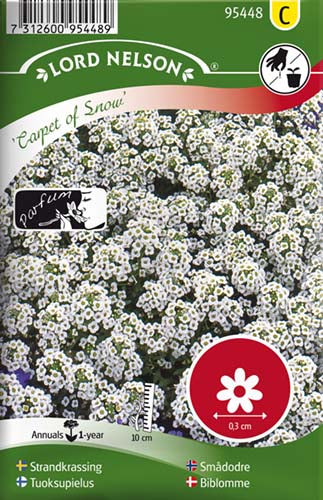 Biblomme, Carpet of snow, hvid