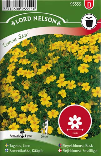 Fløjlsblomst, Smalfliget, Lemon Star