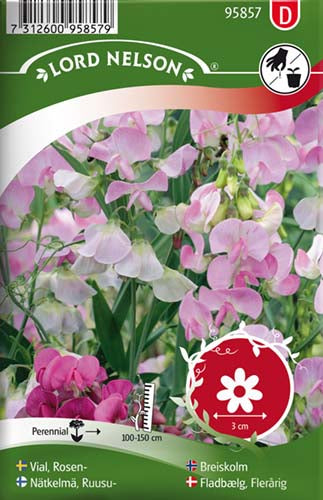 Fladbælg, Flerårig, rosa-hvid