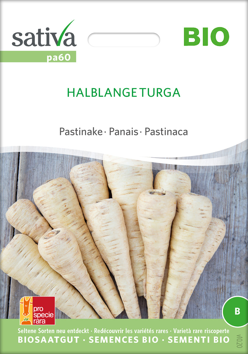 Pastinak - Turga - ØKO