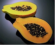 Melontræ - carica papaya