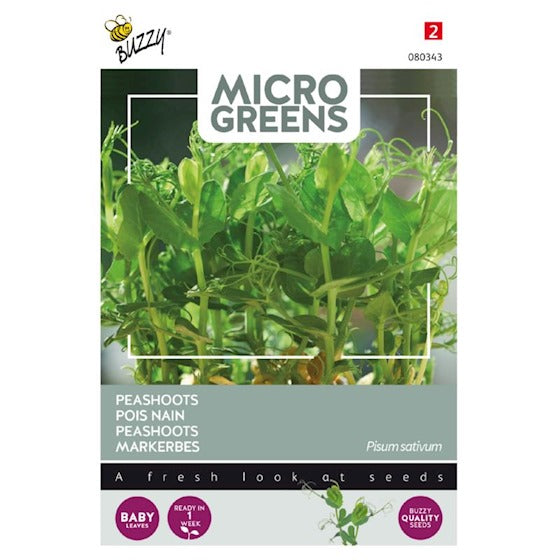 Micro Greens - Ært