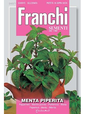 Pebermynte - Menta piperita