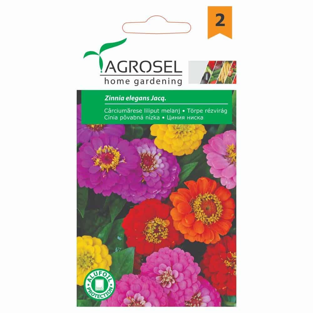 Frøkenhat Dværg - Zinnia Elegans Jacq - PG2