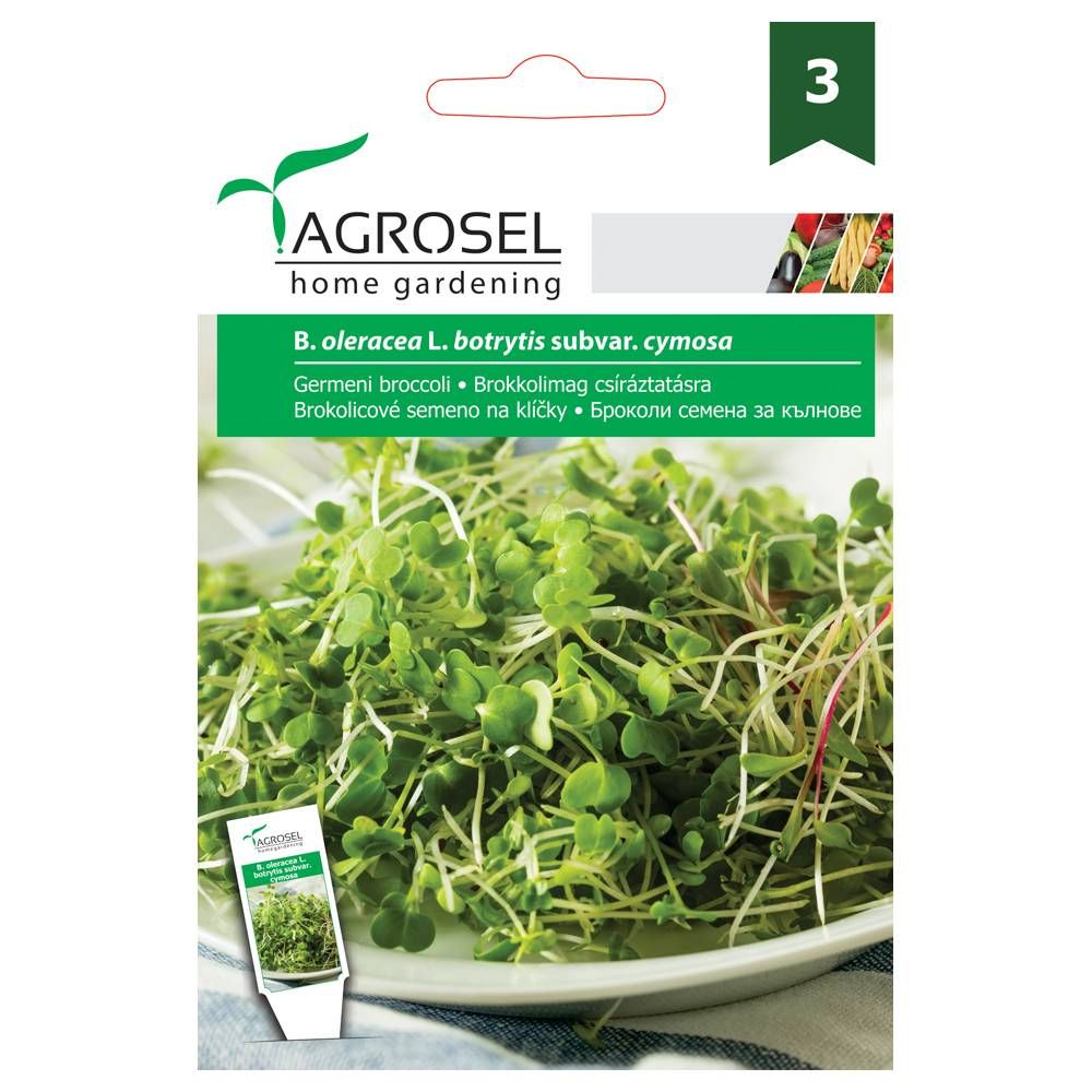 Broccoli Spirer - B. oleracea L. botrytis subvar. cymosa - Stor pk