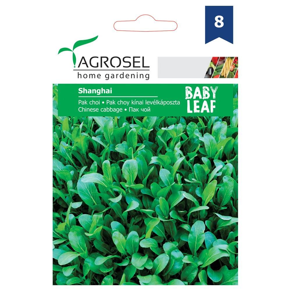 Baby Leaf - Pak Choi - Shanghai - PG8