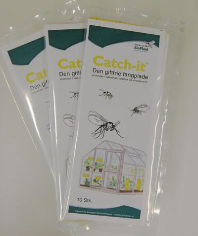Fangplader til flyvende insekter - 10 stk